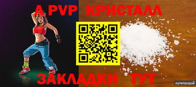 дмт Камышлов
