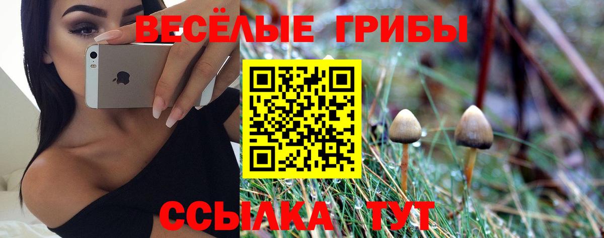 Кудрово  закладка  Вход с VPN  Галлюциногенные грибы MAGIC MUSHROOMS 