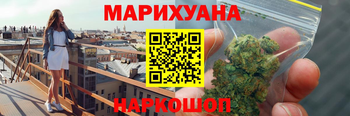 Канабис планчик Кудрово